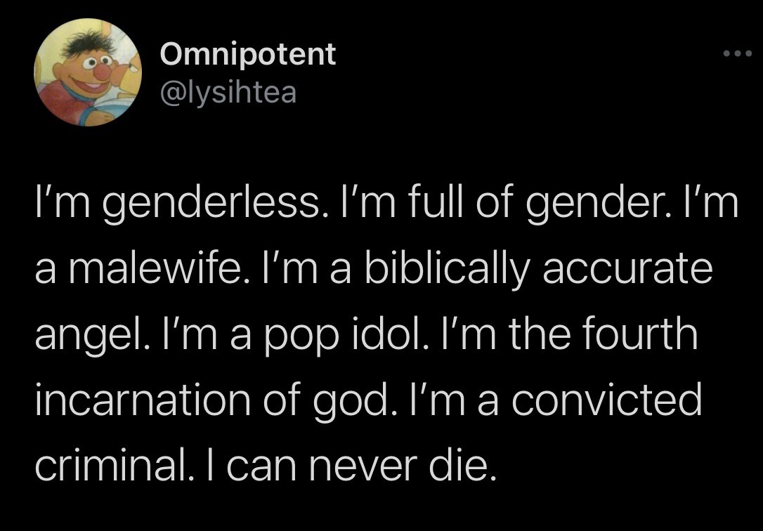 I’m genderless. I’m full of gender. I’m a malewife. I’m a biblically accurate angel. I’m a pop idol. I’m the fourth incarnation of god. I’m a convicted criminal. I can never die.