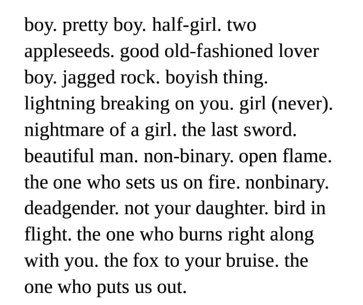 boy. pretty boy. half-girl. two appleseeds. good old-fashioned lover boy. jagged rock. boyish thing. lightning breaking on you. girl (never). nightmare of a girl. the last sword. beautiful man. non-binary. open flame. the one who sets us on fire, nonbinary. deadgender. not your daughter. bird in flight. the one who burns right along with you. the fox to your bruise. the one who puts us out.