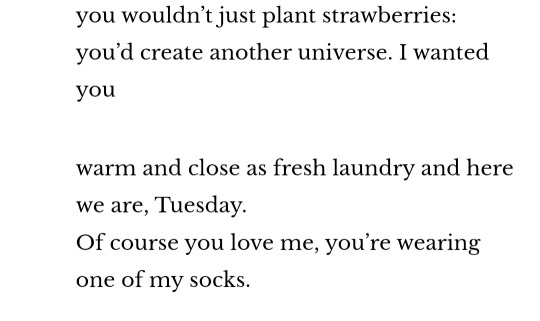 you wouldn't just plant strawberries: you'd create another universe. I wanted you / warm and close as fresh laundry and here we are, Tuesday. Of course you love me, you're wearing one of my socks.