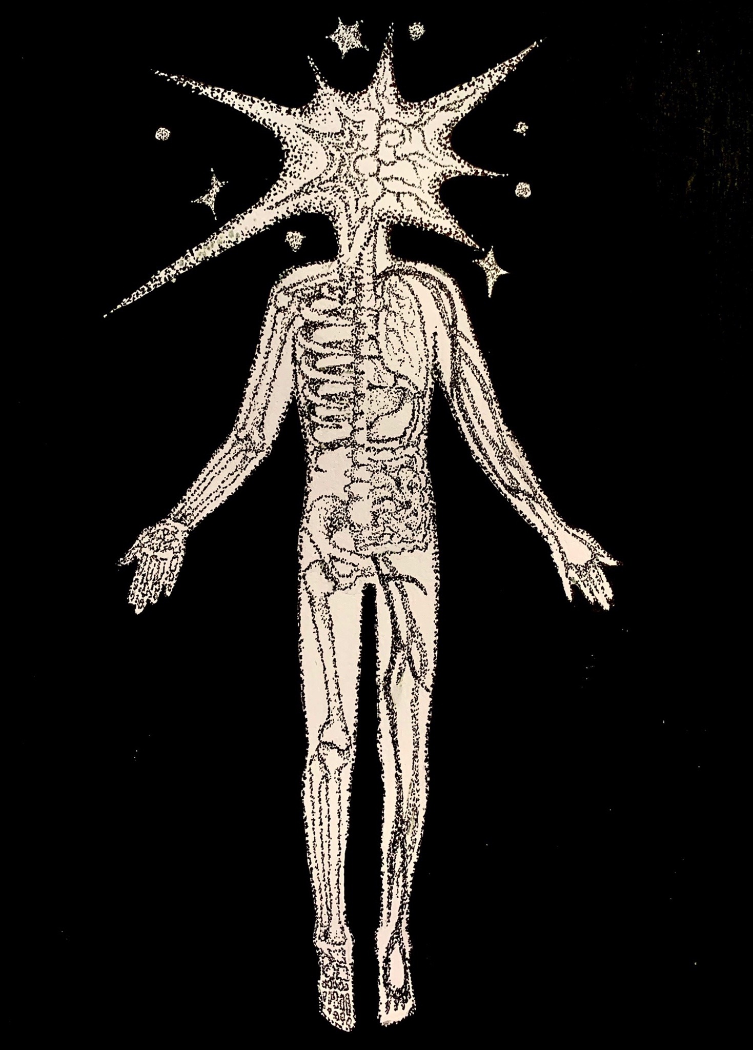 an illustration on a black background of a white figure with a starburst shaped head. the figure is floating with its legs straight and its arms slightly spread, palms forward. within the figure, black stippling creates the skeleton on the left half and the organs and veins or nerves on the right. smaller stars float around the head.